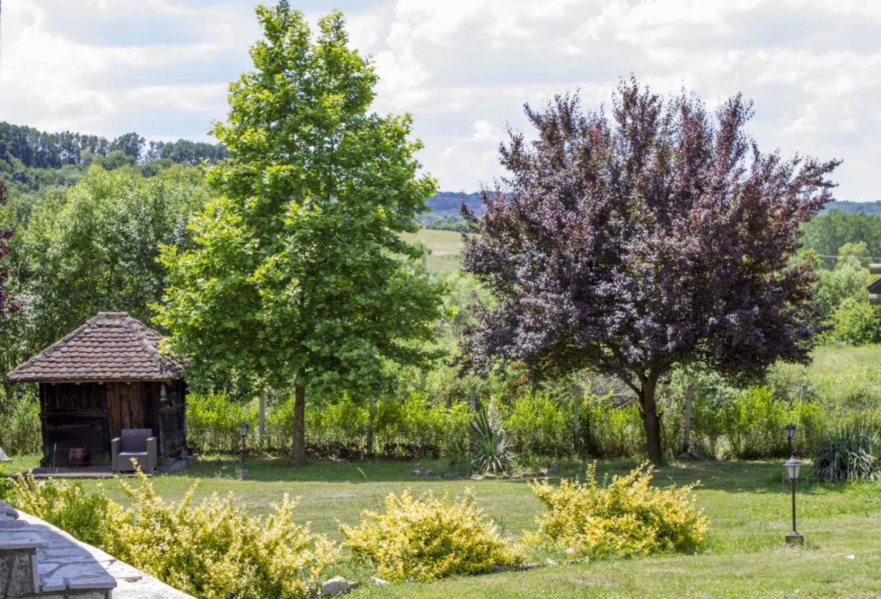 Brvnare Rodjak Sa Sela Villa Mionica Eksteriør bilde